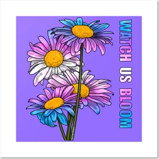 Watch Us Bloom Daisies Posters and Art